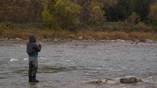 Saugeen River Fishing Oct 23 2019 [upl. by Awjan]