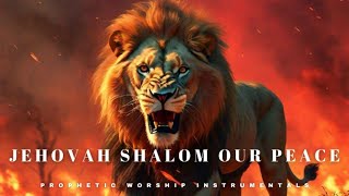 Heavenly Armor Instrumental WorshipJEHOVAH SHALOM OUR PEACERelaxing Prayer Music [upl. by Eniluap]