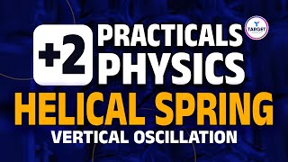 Plus Two Physics Practicals  Helical Spring  Vertical Oscillation  Target Learning App [upl. by Octavie]