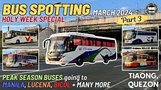 TIAONG QUEZON BUS SPOTTING PART 3  March 2024  Holy Week Special  Buses back to Manila amp Bicol [upl. by Moorish]