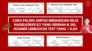 Cara paling ampuh menaikkan nilai Nagelkerke R Square dan Hosmer Lemeshow test data sekunder Part 1 [upl. by Menendez]