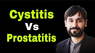 Cystitis  Prostatitis  Cystitis Vs Prostatitis  Difference BW Cystitis amp Prostatitis [upl. by Garges117]