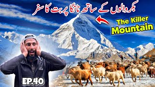 😱 Crossing Killer Mountain Nanga Parbat  Travelling With Bakarwal in Kashmir Episode 40 [upl. by Shawnee]