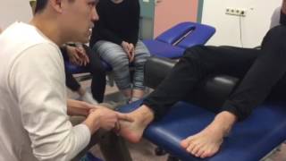 Finding the navicular bone [upl. by Nunci334]