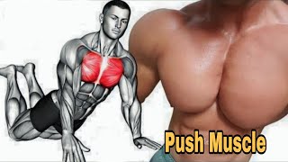 push day  Best exercises for your muscles [upl. by Piscatelli]