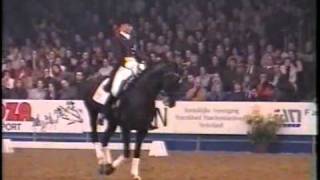 Sezuan stallion  Presentation of all 3 gaits [upl. by Veneaux]