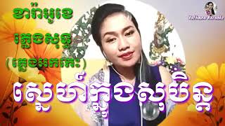 ស្នេហ៍ក្នុងសុបិន្ត Sne Knong Soben  KARAOKE ភ្លេងសុទ្ធ ភ្លេងអកកេះ [upl. by Mccullough]