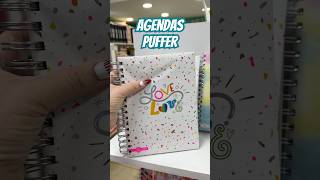 Agendas Puffer Las primeras agendas acolchadas que vas a ver hoy agendas puffer papeleria [upl. by Dulci]