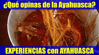 ¿Qué opinas de la Ayahuasca Experiencias con ayahuasca [upl. by Ahsieym]