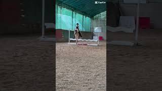 ❤️😍 horse equestrian [upl. by Naresh]