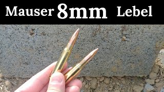 8mm Lebel Vs 8mm Mauser 8x57js [upl. by Tanaka]