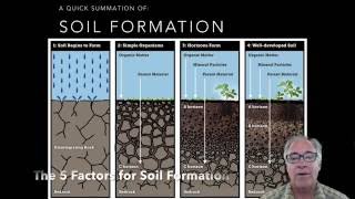 Soil Formation 5 Soil Factors Part 1 [upl. by Ferino]