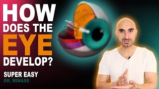 Embryology of the Eye Easy to Understand [upl. by Elladine]