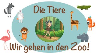 Die Tiere  Wir gehen in den Zoo  Deutsch lernen  German wild animals  Almanca Hayvanlar [upl. by Neslund]