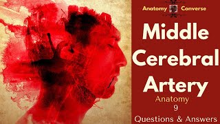 Middle Cerebral Artery Anatomy 9 QampA [upl. by Gowrie]