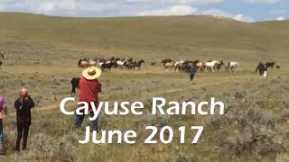 Cayuse Ranch [upl. by Katharine]