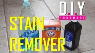 BEST Homemade Stain Remover EVER DIY Cheap and EASY [upl. by Fidelia522]