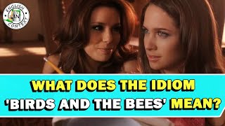 Idiom Birds And The Bees Meaning [upl. by Nylhsoj]