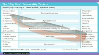 Trait Theory Personality Analysis [upl. by Kessia]