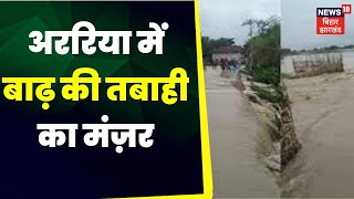 Flood In Bihar  अररिया में बाढ़ का कहर ग्रामीण और शहरी इलाकों में घुसा पानी  Flood In Araria [upl. by Dorcy]