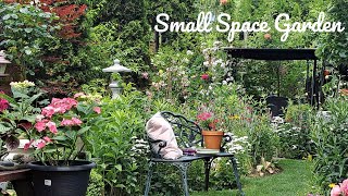 How I Grow Plants In A Small Space  Perennial Flower Tour [upl. by Nnyledam]