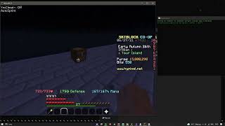 Hypixel Skyblock New Duplication Glitch NEW MAY 2024 [upl. by Chapland]