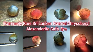 Very Rare Natural Chrysoberyl Alexanderite Cats Eye Rough Gemstone  City of Gem [upl. by Sublett]