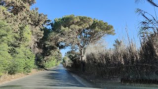 Mostaganem Sayada amp Mazagran Cheikh Maazouz Bouadjadj El Meknassia amp El Ghaouthiya un pur régal [upl. by Bubb]