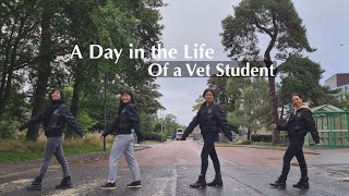 Vet School Vlog  A Day in Life of a First Year Vet Student [upl. by Danyluk]