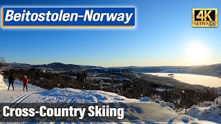 Skiing Secrets in Beitostolen Norwegian Winter Adventure [upl. by Dnaltruoc]