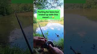 Help Massive Backlash My Bait Caster Struggles Are Real 🎣😅 [upl. by Eluj]