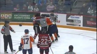 Flint Firebirds vs Guelph Storm [upl. by Navak]