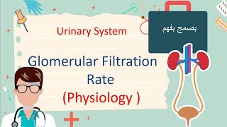 Glomerular filtration Rate  هتفهم كل كلمة في أقل من ساعة [upl. by Squires361]