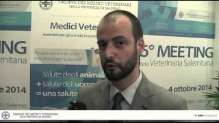 Veterinario Dr Luigi Auletta [upl. by Saiff]