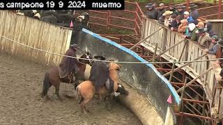 RODEO CLUB LOS MUERMOS 18 Y 19 SEPTIEMBRE DE 2024 [upl. by Eintruoc316]