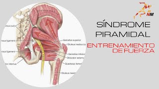 Síndrome Piramidal y Entrenamiento de Fuerza [upl. by Rephotsirhc]