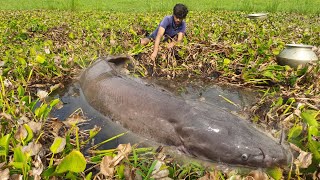 Unbelievable Fishing By Hand  The Boy Is Catching Big Catfish By Hand In The Bill [upl. by Ailama]