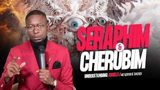 The difference between Cherubim and Seraphim  Miz Mzwakhe Tancredi [upl. by Odnanref32]