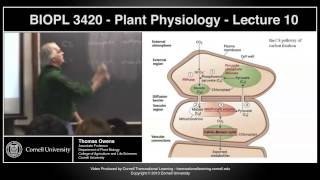 BIOPL3420  Plant Physiology  Lecture 10 [upl. by Georgiana]