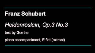 Schubert Heidenröslein Op3 No3 [upl. by Inaej22]