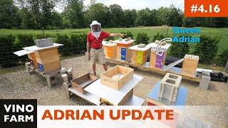 Aftermath Of The Swarms  Adrian Hive UPDATE [upl. by Nitin]