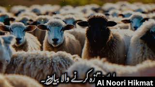 Full Bayan Bakra Eid 2024 MustWatch Eid ul Adha Sermon by Ajmal Raza Qadri  Al Noori Hikmat [upl. by Yknip19]