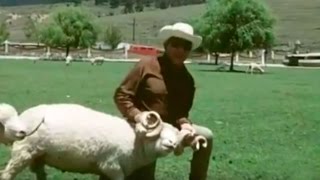 Cantinflas en su hacienda La Purísima Ixtlahuaca México  El rancho de Mario Moreno 1977 [upl. by Obediah]