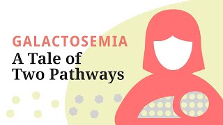 Galactosemia A Tale of Two Pathways—A brief overview of the galactose metabolic pathway [upl. by Antonietta]