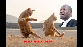 Piki Piki Ponki Paka Mielo Disco SONG Challenge  Lawyer Willis Otieno [upl. by Aiyn]