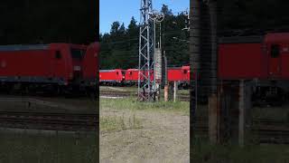 Zwei Rotkäppchen fahren in den Wald  lauert dort der Steppenwolf  train 185 vectron db [upl. by Yekram378]