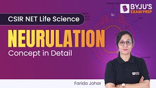 BYJUS CSIR NET  Neurulation Process in Detail  Life Science  CSIR NET 2023 [upl. by Amalburga]