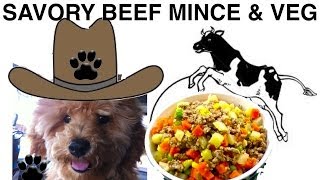 Savory Beef Mince DIY easy Dog Food Dinner  a tutorial by Cooking For Dogs [upl. by Naneik171]