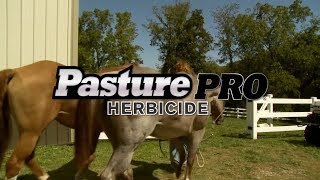 How To Use Gordon’s® Pasture Pro® Herbicide [upl. by Eimmaj]