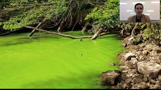 Stage 2 Chemistry 43 Soils Part 2 of 4 Eutrophication [upl. by Alexandria]